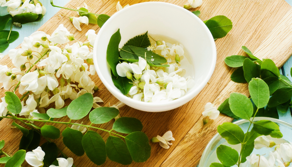 Conservation de la fleur d'acacia