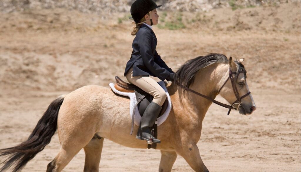 Le Poney dans le sport