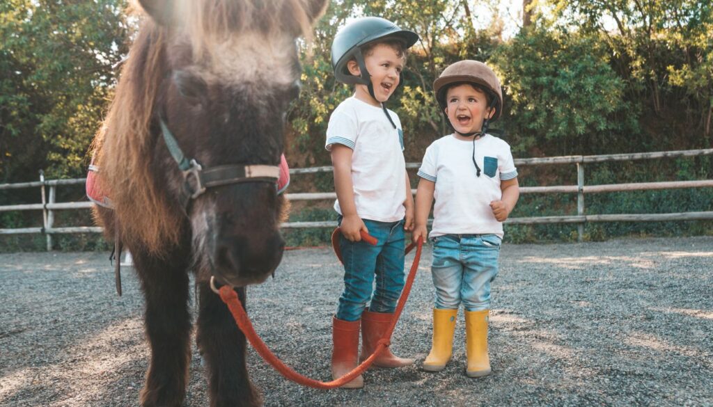 Le Poney et les enfants