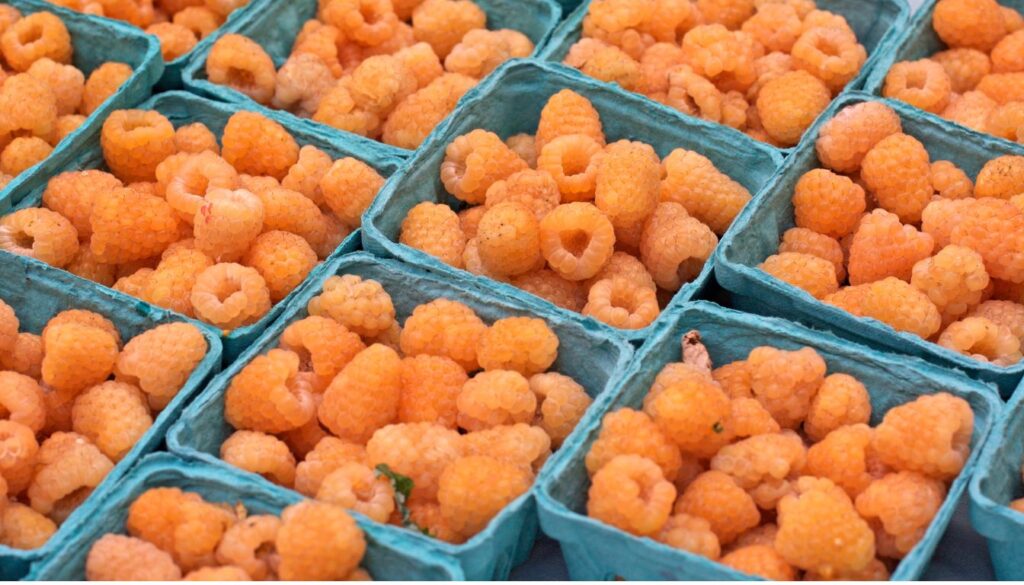 Où acheter des framboises jaunes