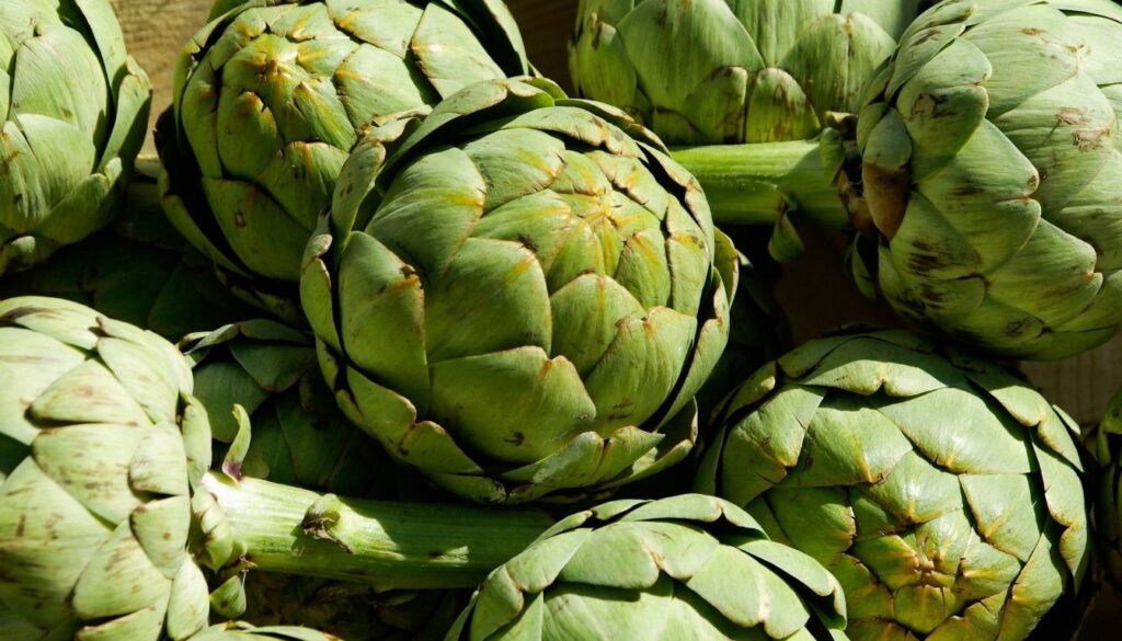 artichaut