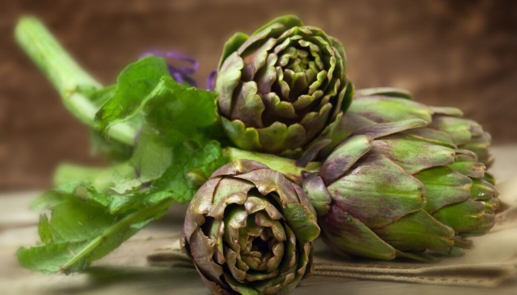 artichaut