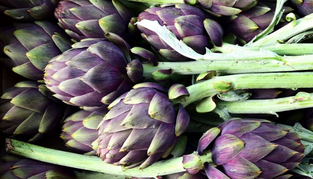 artichaut