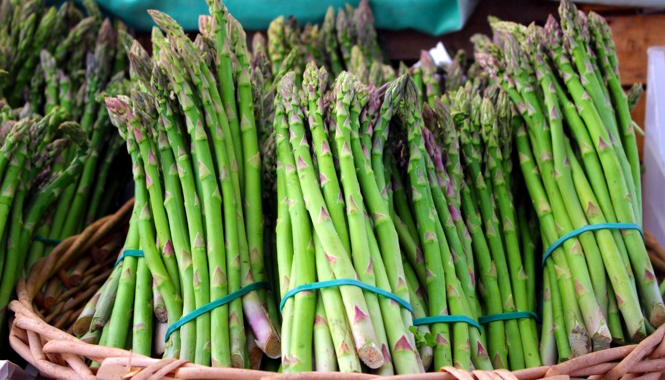 l'asperge