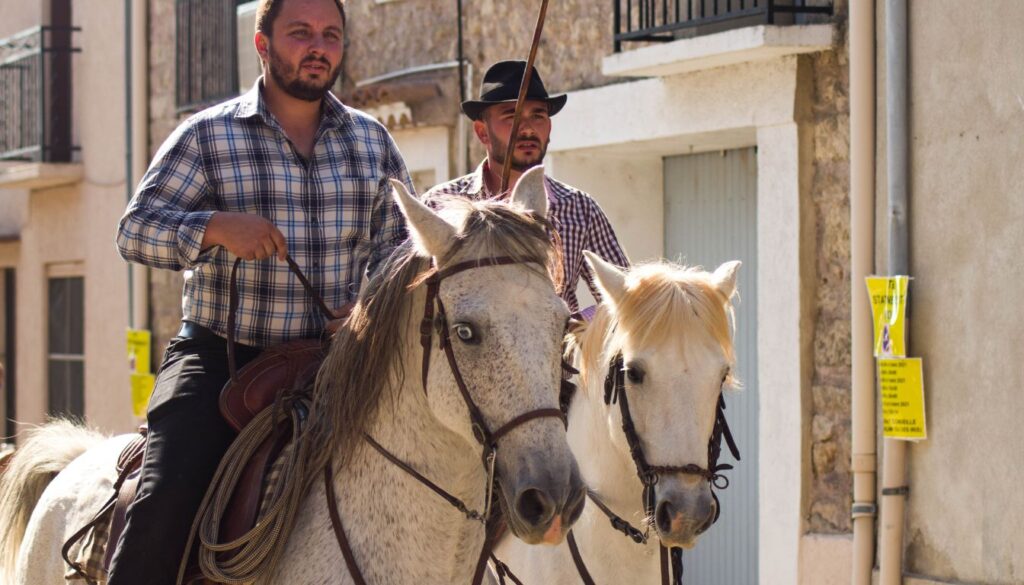 Camargue cheval