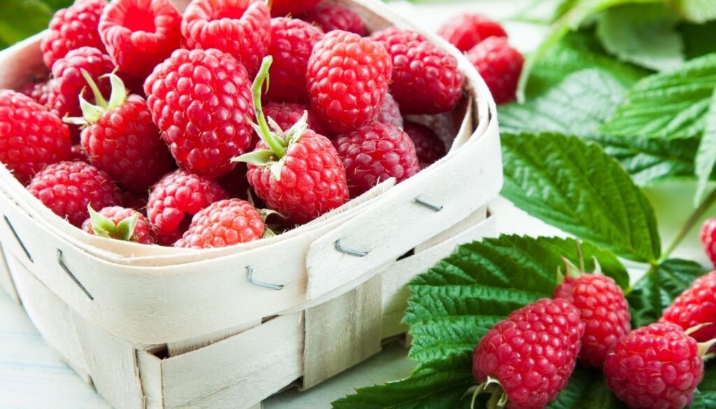 Bienfaits des framboises de saison