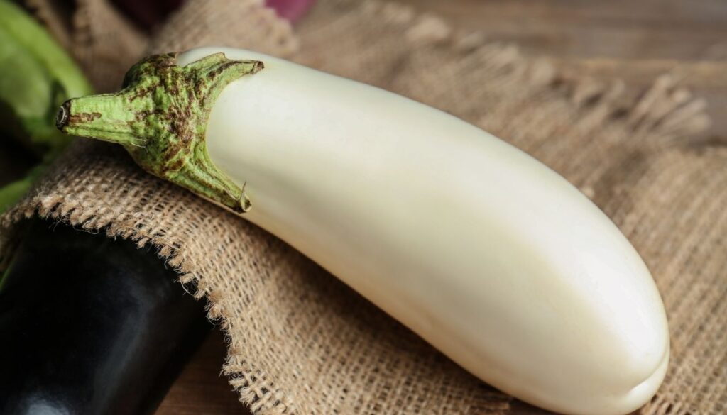 Aubergine Blanche
