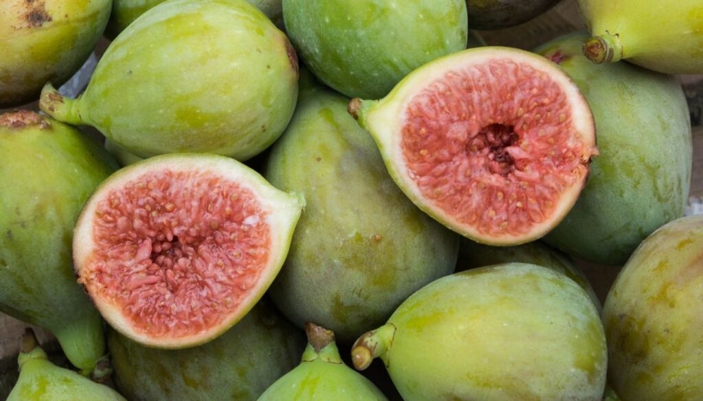 conservation des figues Quand et comment récolter les figues