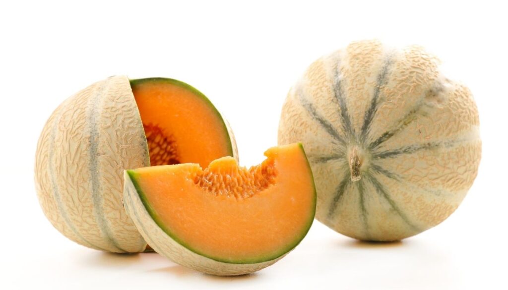 conservation du melon Conservation du Melon