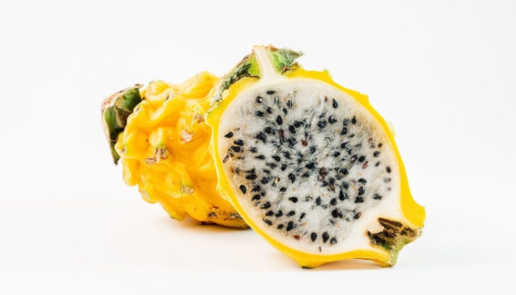 Culture du pitaya jaune