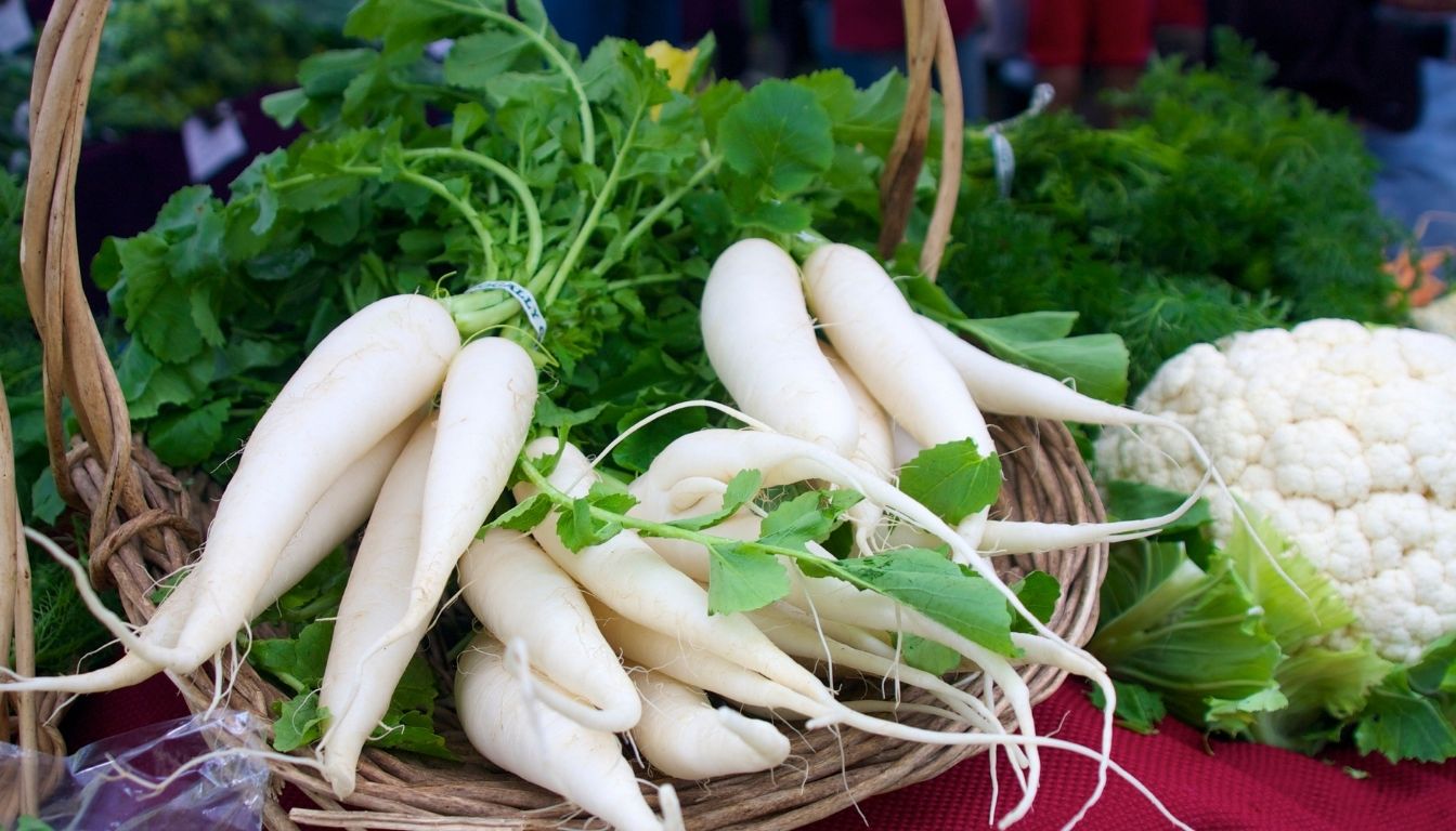 Daikon