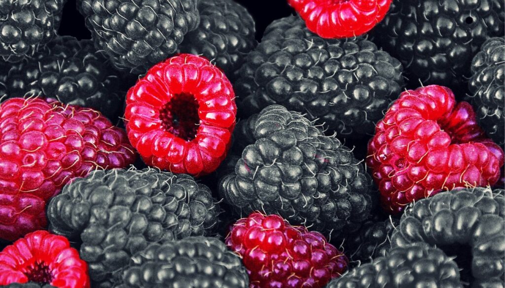 Différence entre la framboise bleue et la framboise rouge