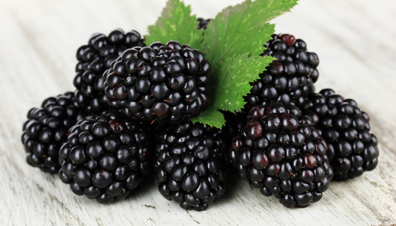 Bienfaits de la framboise bleue