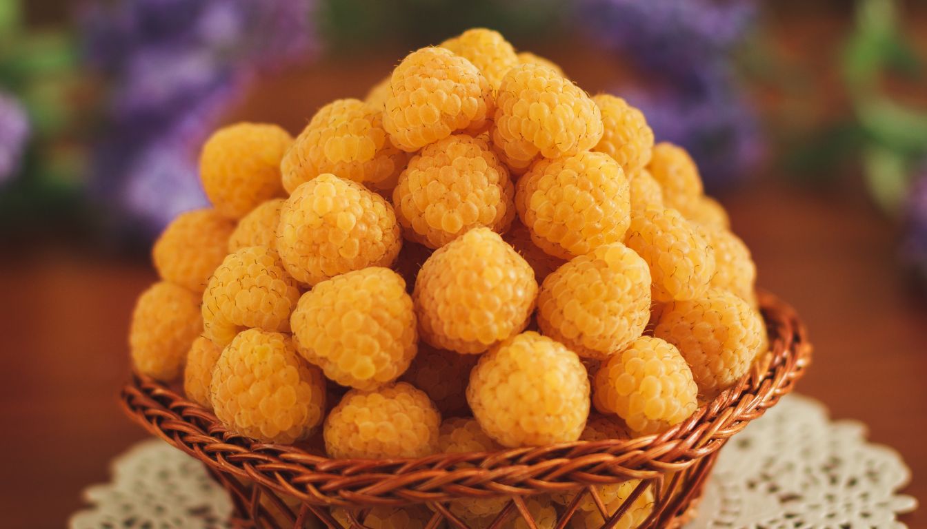 Tout savoir sur la framboise jaune