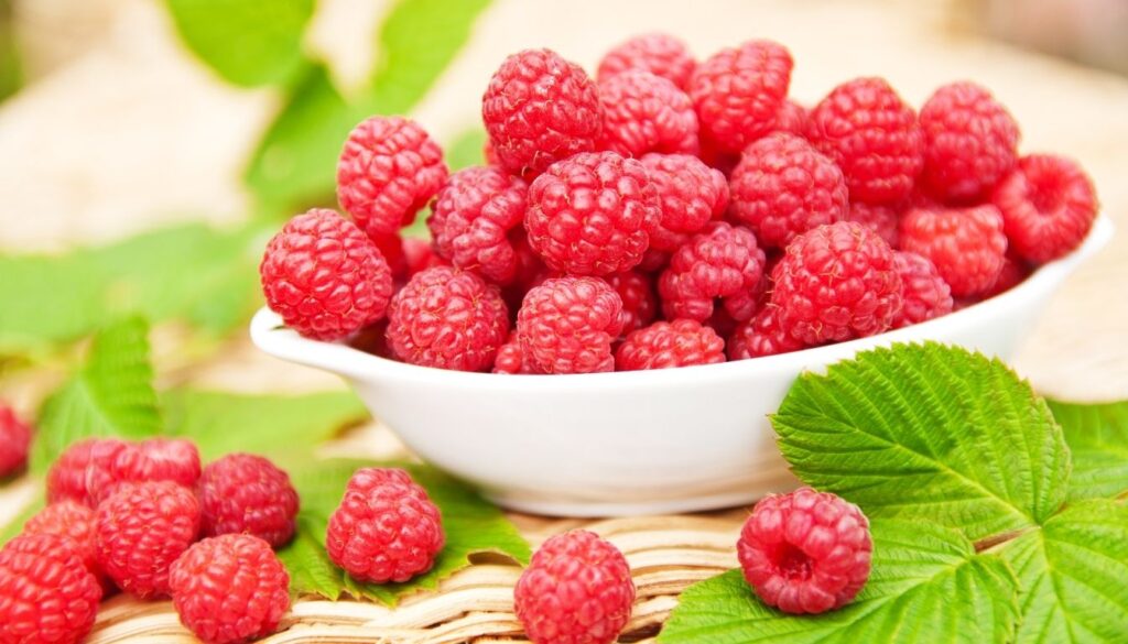 Framboises mûres