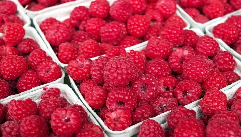 prix des framboises