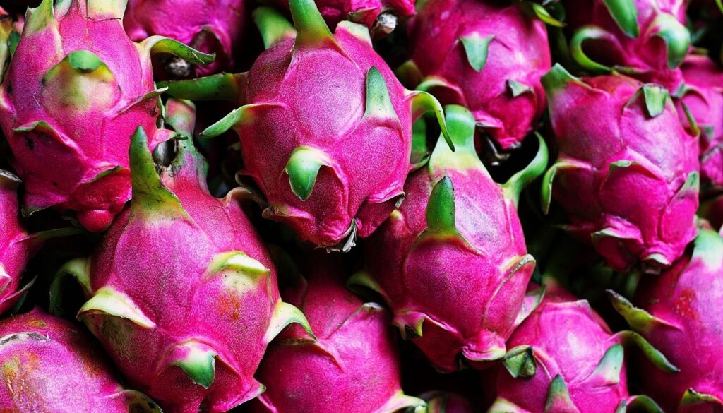 Fucsia le Fruit du Dragon - Promotions Maison Exclusive - Qualité