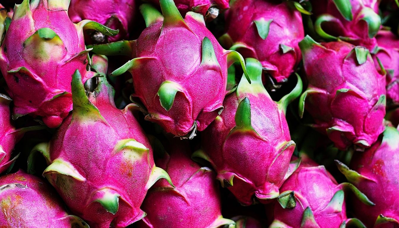 Bienfaits santé du fruit du dragon ou pitaya