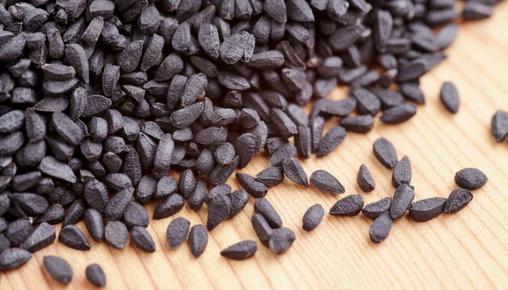Graine de Nigelle
