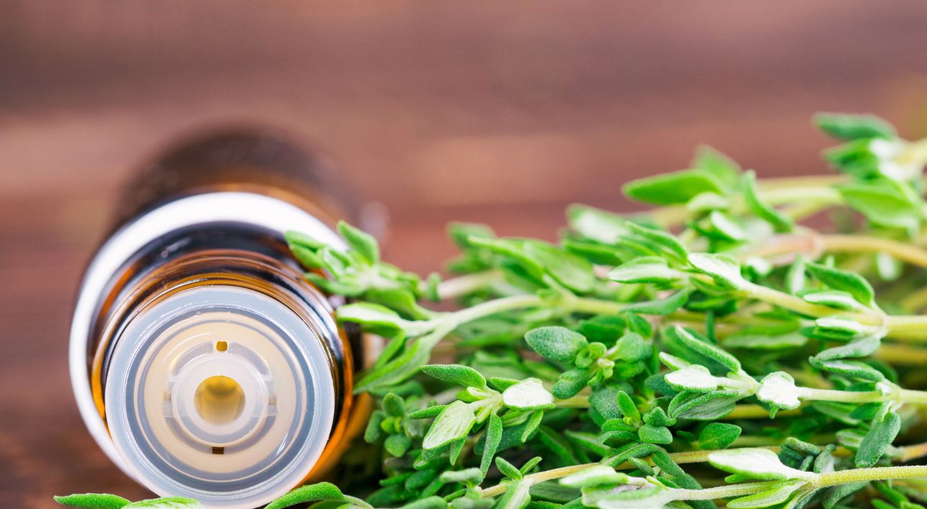 5 huiles essentielles de thym