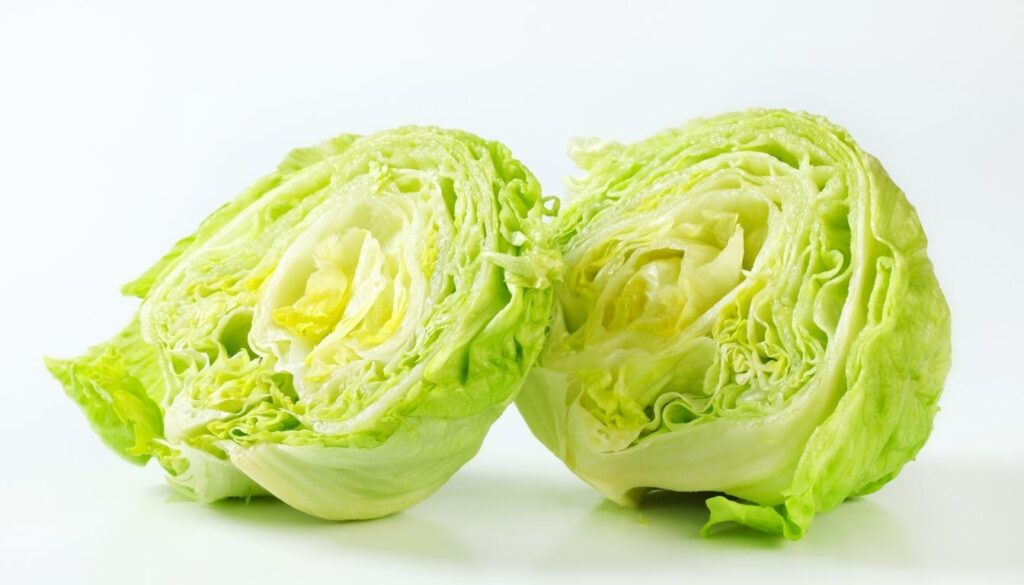 Iceberg Laitue
