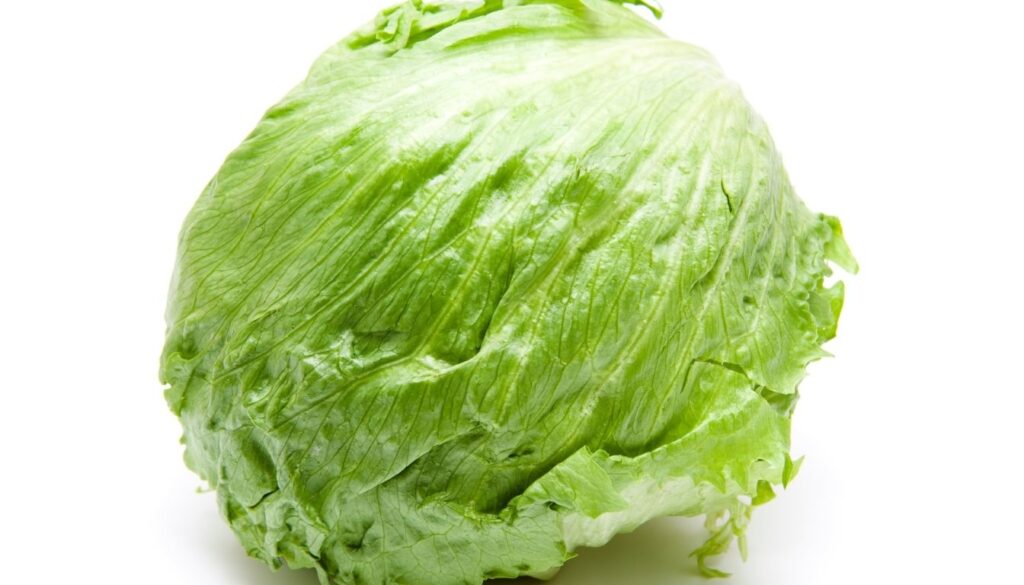Iceberg laitues