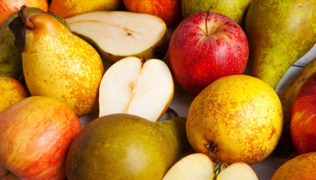 identifier une variété de poire