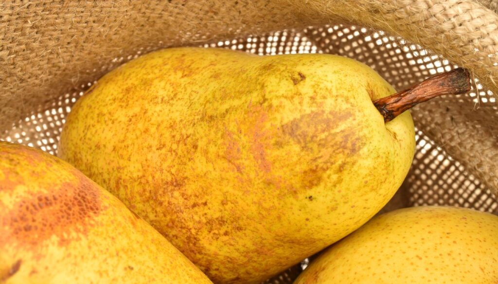 Poire William