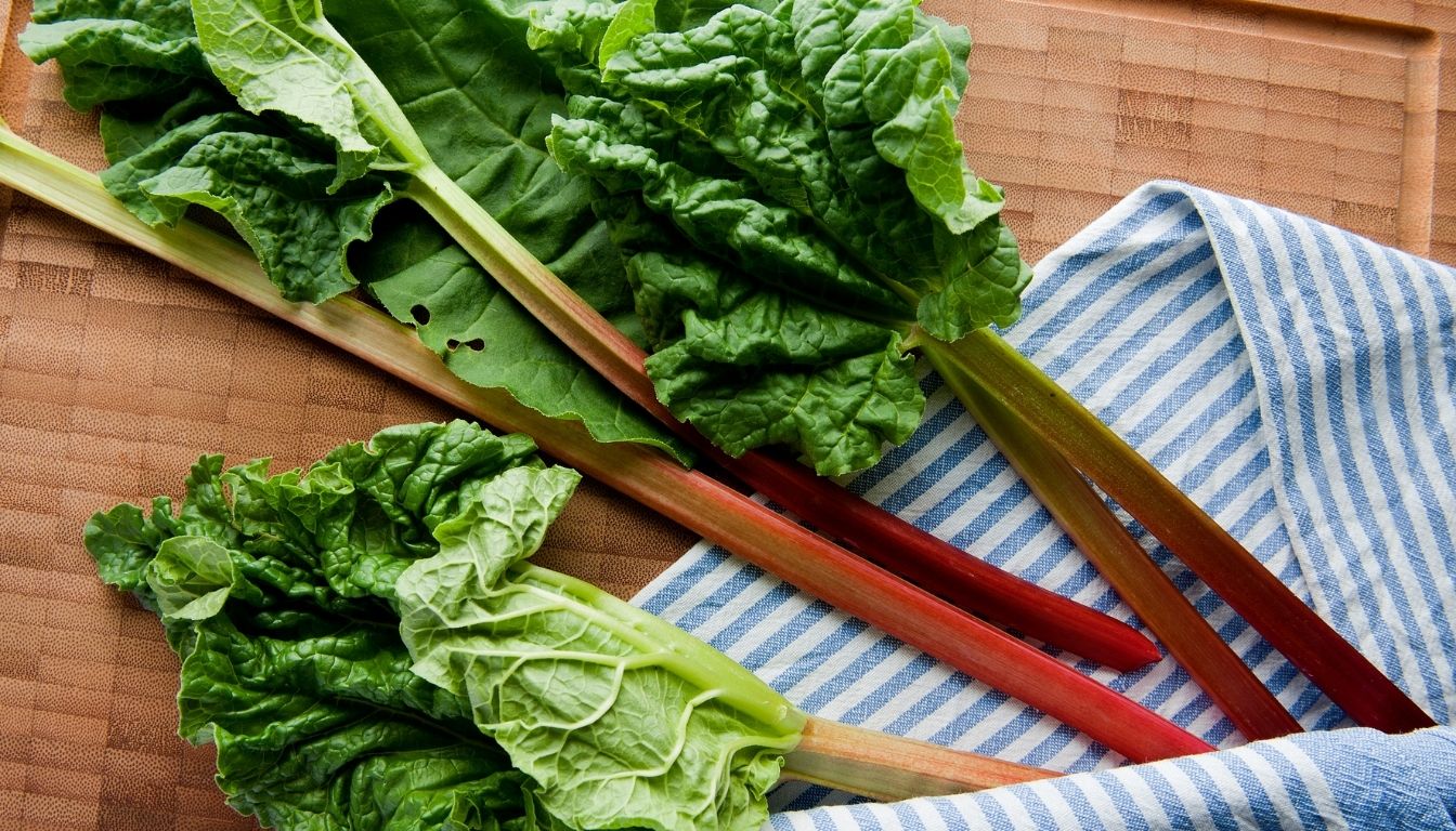Rhubarbe bienfaits