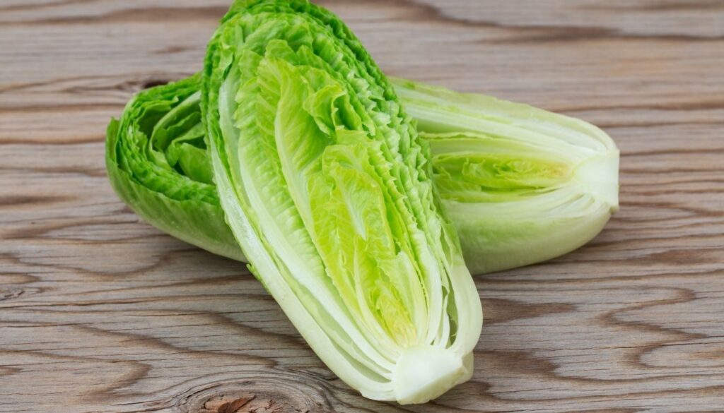 Laitue Romaine