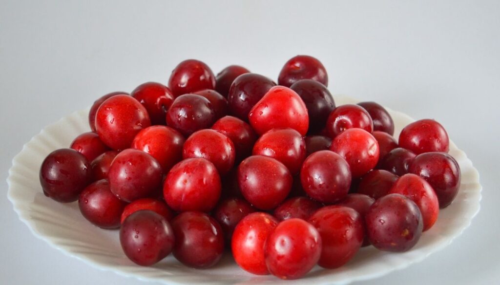Myrobolan fruit