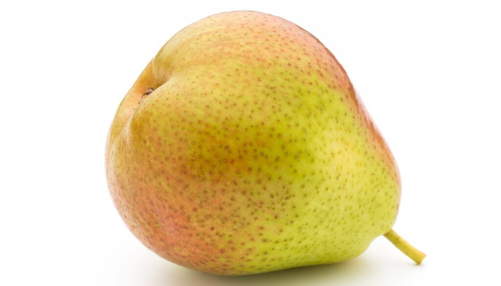 Poire Comice se reconnaît à sa forme arrondie