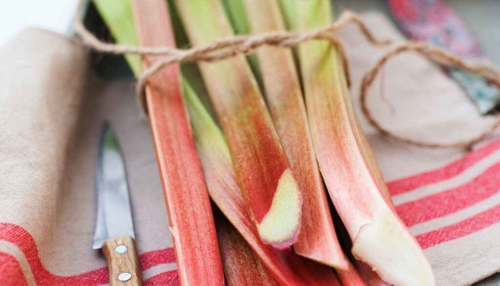 que faire avec de la rhubarbe