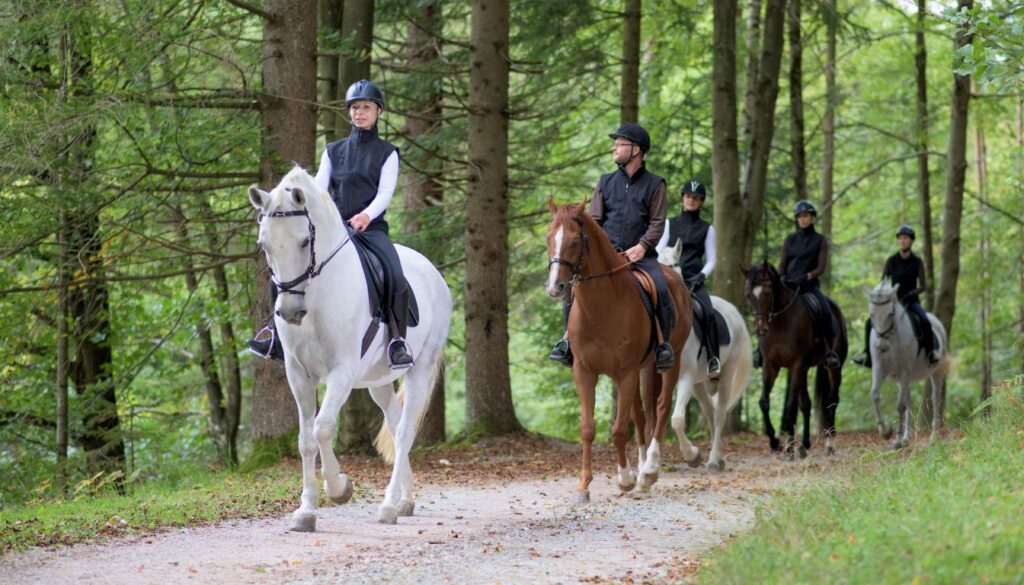 Race de cheval