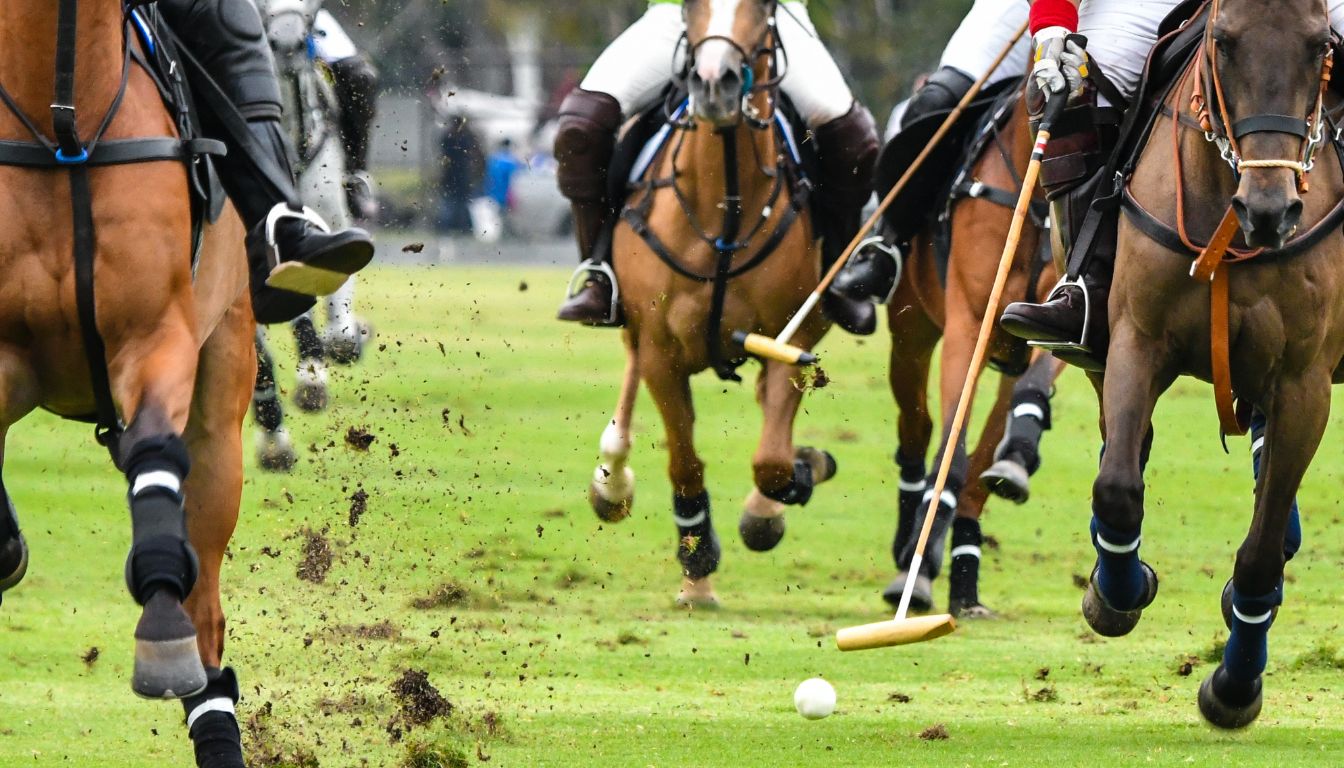 Race de Chevaux