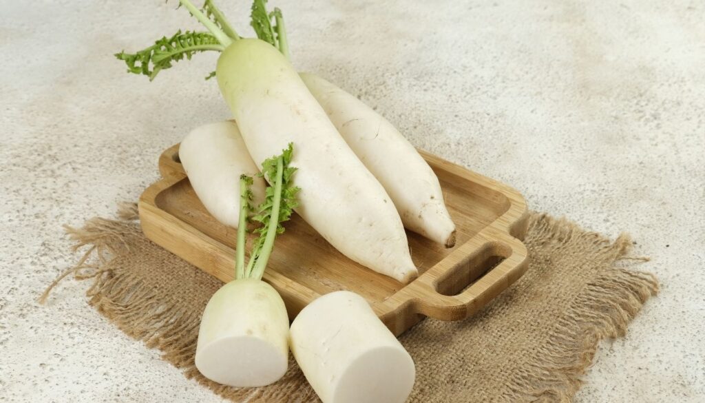 Radis Daikon
