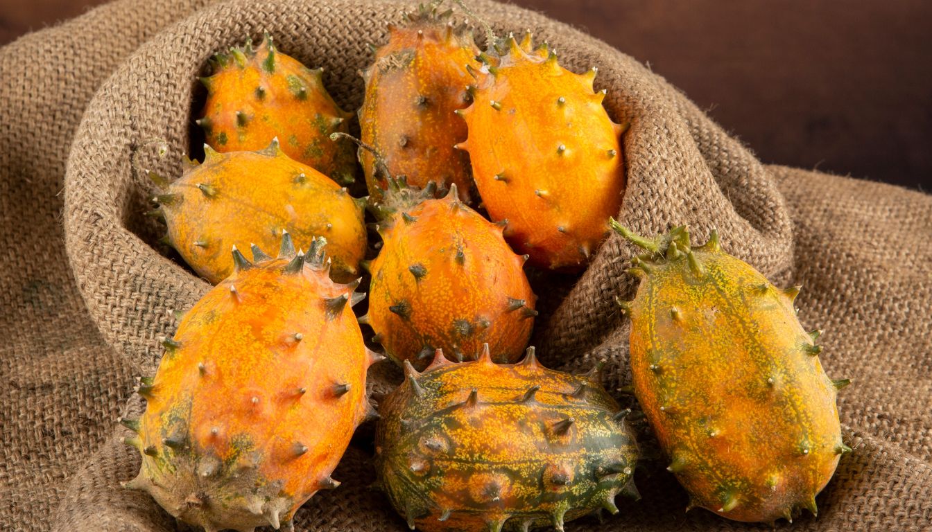5 faits étonnants sur le Jelly Melon