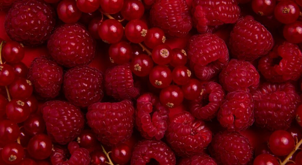 Fruits rouges pour tisamisu