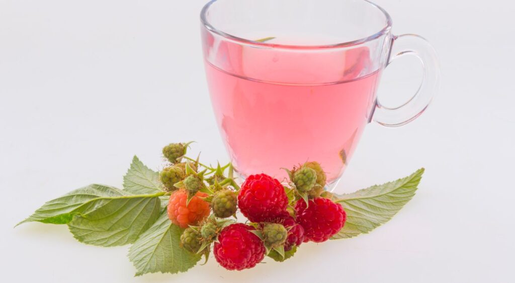 Tisane de feuilles de framboisier