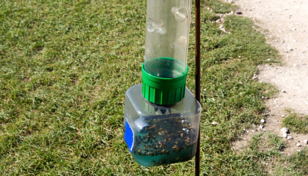 types de pièges guêpes Types de Pièges Guêpes