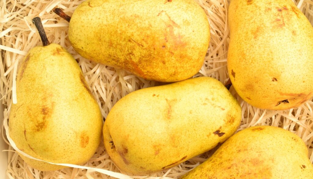 poire Williams