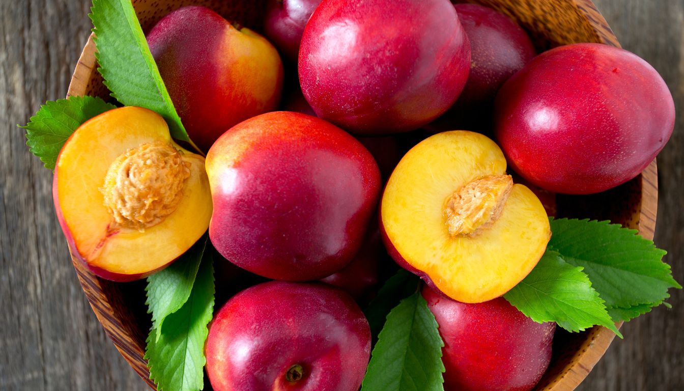 Nectarines