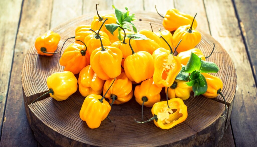 Piment Antillais