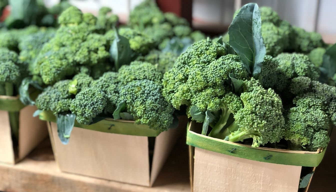 Brocoli