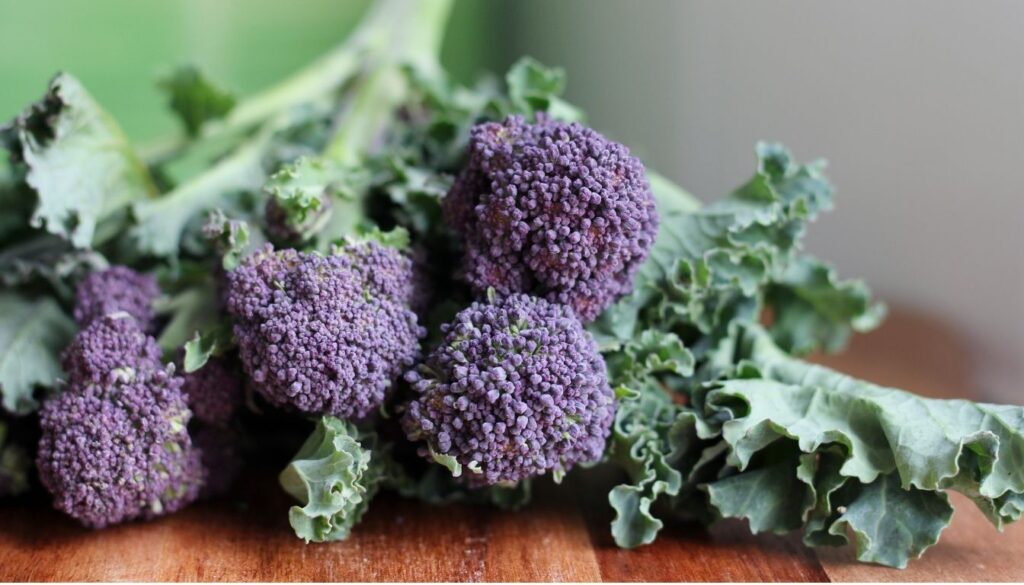 Brocoli violet
