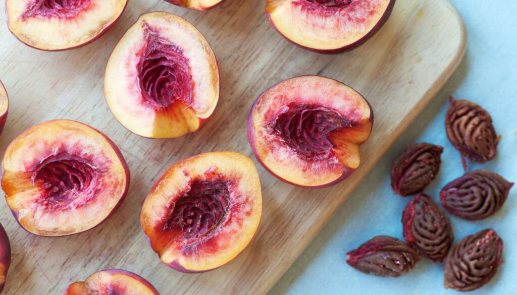 Brugnon vs nectarine