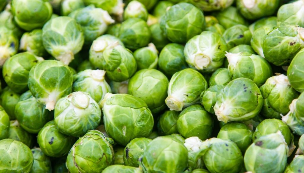 Choux de Bruxelles