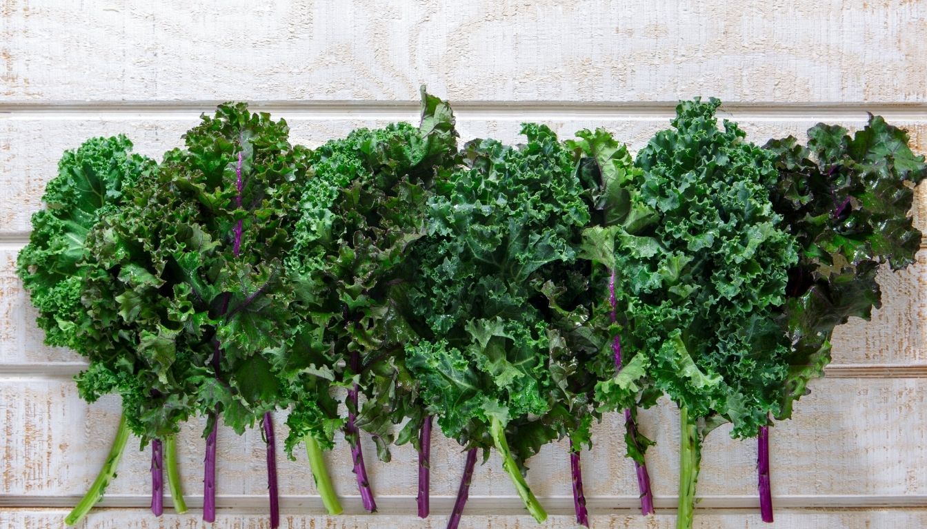 Chou Frisé : Description, Origine, Espèces Et Usages Clés