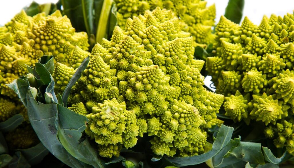 Chou romanesco fractale