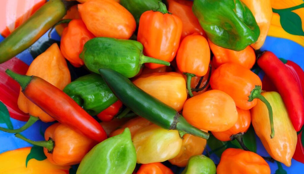 Espèces piment